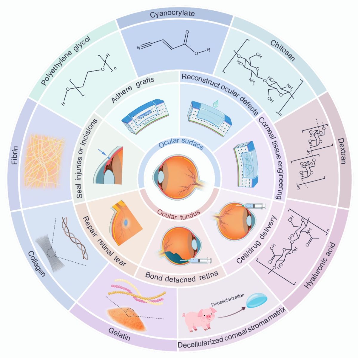 �۲�ճ����������Բ��ϵķ��ࡣ����ͬ��ҽԺ��ͼ