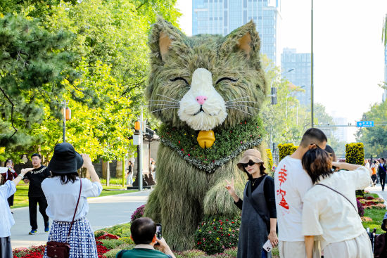 北京市朝阳区供图 北京市朝阳区供图