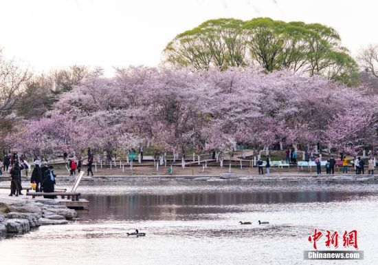 2020清明节北京景区限流