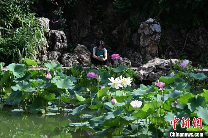  北京发布暑期文旅系列活动 万余场活动解锁“京彩夏日”
