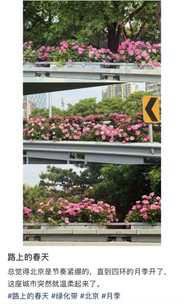 �������罻ƽ̨����������·���ŵ��¼���